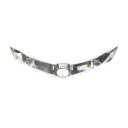Grille Molding for Acura TSX 2009-2010 - Image 2